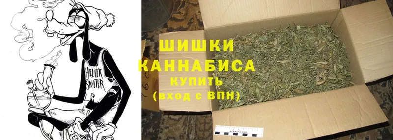 Бошки марихуана SATIVA & INDICA  Клин 